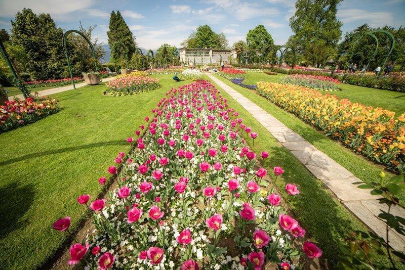 Villetta Primavera Verbania Dış mekan fotoğraf