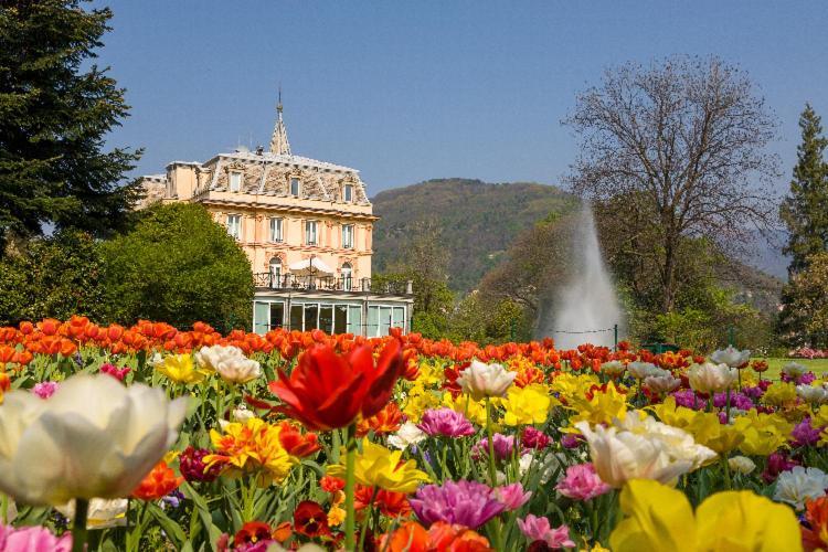 Villetta Primavera Verbania Dış mekan fotoğraf